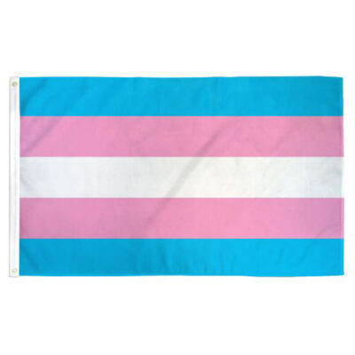 A transgender flag consisting of blue, white, and pink stripes.